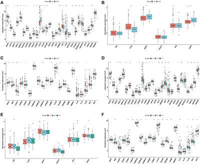 Landscape of RNA-binding proteins in diagnostic utility, immune cell infiltration and PANoptosis features of heart failure